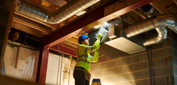 Best Air Duct Sanitizing Services  in Round Lake, IL